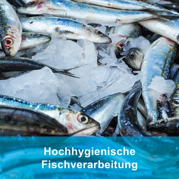 sterilico Hochhygienische Fischverarbeitung